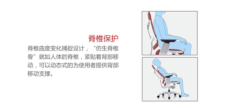 夢(mèng)達(dá)網(wǎng)吧健康椅子脊椎保護(hù)功能